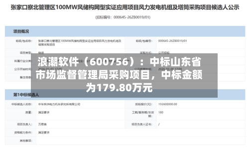 浪潮软件（600756）：中标山东省市场监督管理局采购项目，中标金额为179.80万元-第2张图片