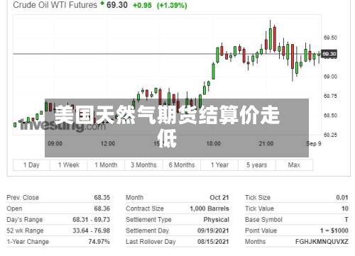 美国天然气期货结算价走低