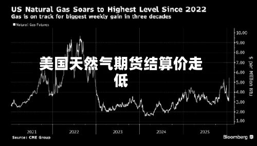 美国天然气期货结算价走低-第2张图片