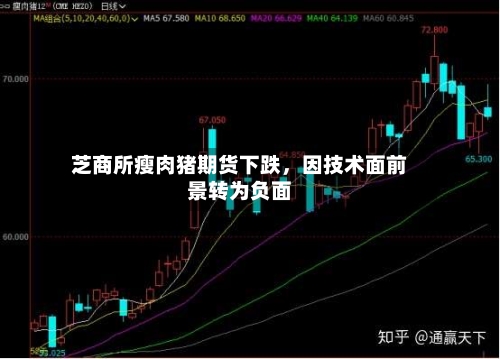 芝商所瘦肉猪期货下跌，因技术面前景转为负面-第2张图片