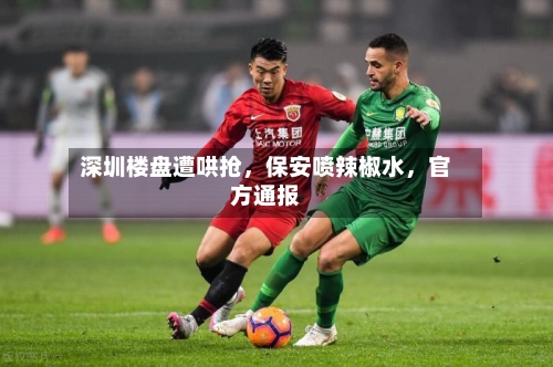 深圳楼盘遭哄抢	，保安喷辣椒水，官方通报-第2张图片