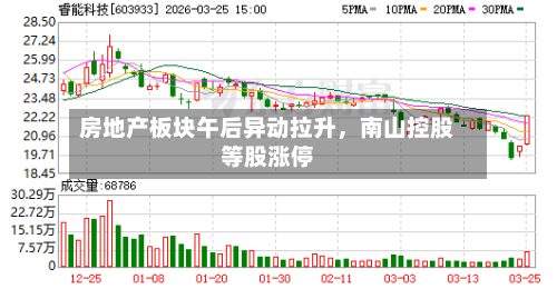房地产板块午后异动拉升，南山控股等股涨停-第1张图片