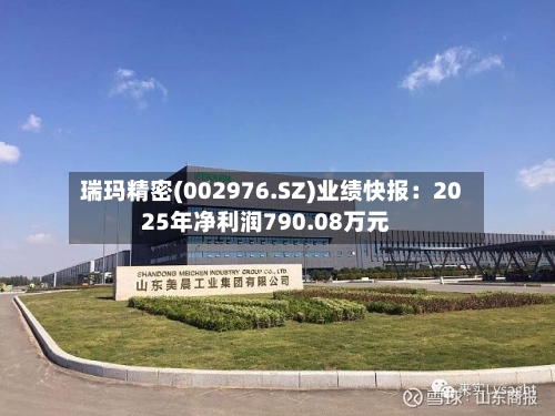 瑞玛精密(002976.SZ)业绩快报：2025年净利润790.08万元-第1张图片