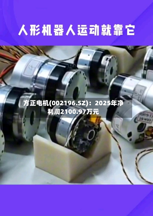 方正电机(002196.SZ)：2025年净利润2100.97万元-第1张图片
