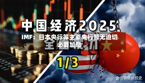 IMF：日本央行等主要央行暂无迫切必要加息-第1张图片