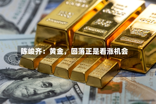 陈峻齐：黄金，回落正是看涨机会-第1张图片