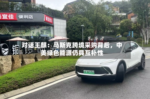 对话王麒：马斯克跨境采购背后	，中美绿色能源仍具互补性-第2张图片