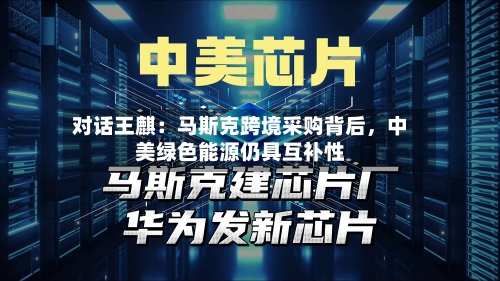 对话王麒：马斯克跨境采购背后	，中美绿色能源仍具互补性-第3张图片
