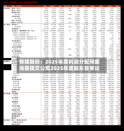 新媒股份：2025年度利润分配预案尚需提交公司2025年度股东会审议