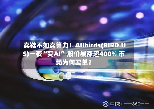 卖鞋不如卖算力！Allbirds(BIRD.US)一夜“变AI” 股价暴涨超400% 市场为何买单？-第2张图片