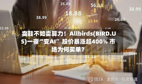 卖鞋不如卖算力！Allbirds(BIRD.US)一夜“变AI	” 股价暴涨超400% 市场为何买单？-第3张图片
