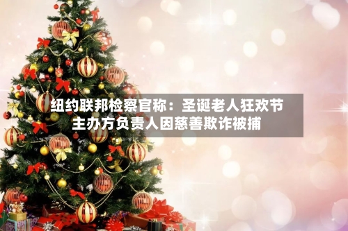 纽约联邦检察官称：圣诞老人狂欢节主办方负责人因慈善欺诈被捕-第1张图片