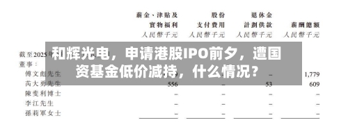 和辉光电	，申请港股IPO前夕，遭国资基金低价减持，什么情况？-第1张图片