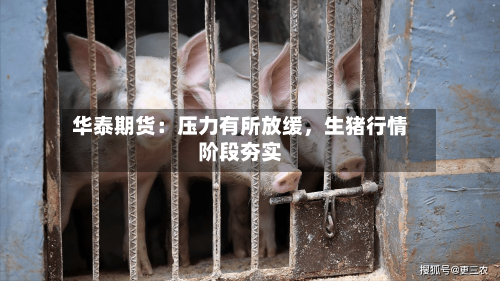 华泰期货：压力有所放缓，生猪行情阶段夯实-第1张图片