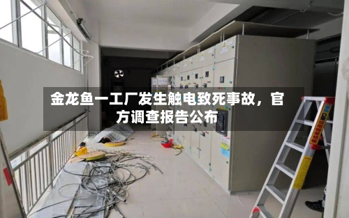 金龙鱼一工厂发生触电致死事故	，官方调查报告公布-第2张图片