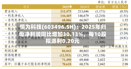 恒为科技(603496.SH)：2025年归母净利润同比增加30.13%	，每10股拟派利0.20元-第1张图片