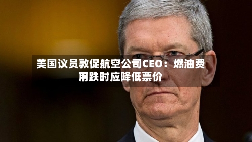 美国议员敦促航空公司CEO：燃油费用下跌时应降低票价-第3张图片