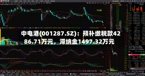 中电港(001287.SZ)：预补缴税款4286.71万元，滞纳金1497.32万元-第1张图片