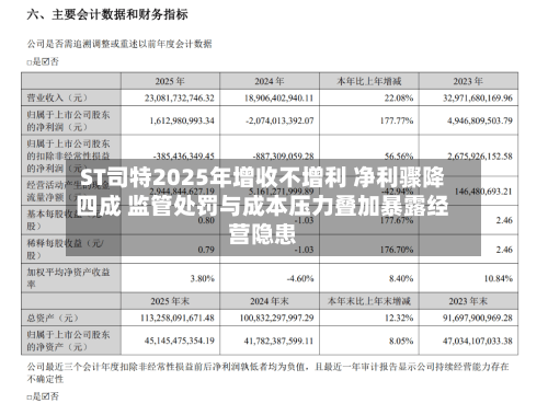 ST司特2025年增收不增利 净利骤降四成 监管处罚与成本压力叠加暴露经营隐患-第1张图片