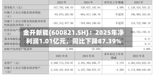 金开新能(600821.SH)：2025年净利润1.01亿元，同比下降87.39%