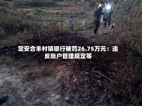 定安合丰村镇银行被罚26.75万元：违反账户管理规定等-第1张图片