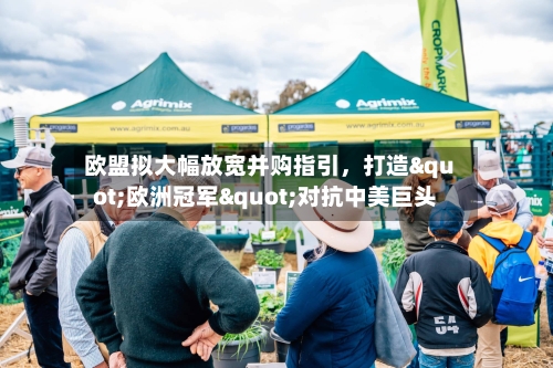 欧盟拟大幅放宽并购指引，打造"欧洲冠军"对抗中美巨头-第3张图片