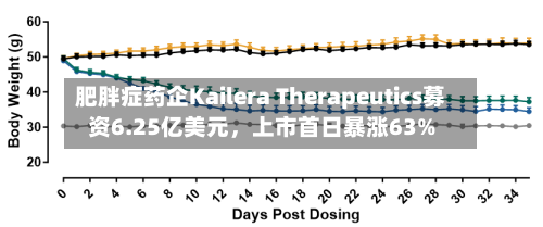 肥胖症药企Kailera Therapeutics募资6.25亿美元，上市首日暴涨63%