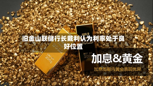 旧金山联储行长戴利认为利率处于良好位置