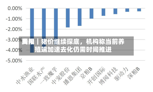 费用周报｜猪价继续探底，机构称当前养殖端加速去化仍需时间推进