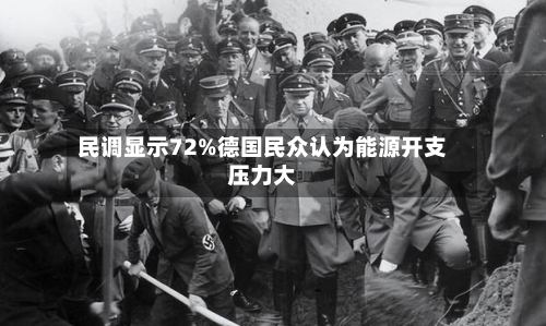 民调显示72%德国民众认为能源开支压力大