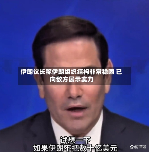 伊朗议长称伊朗组织结构非常稳固 已向敌方展示实力