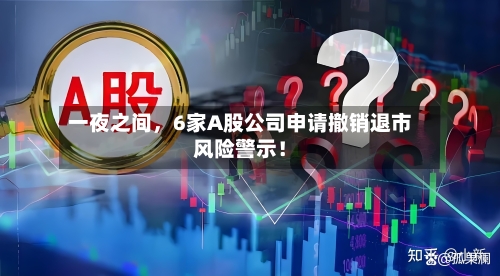 一夜之间，6家A股公司申请撤销退市风险警示！-第2张图片