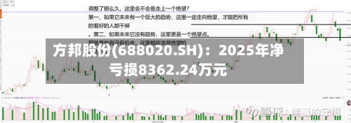 方邦股份(688020.SH)：2025年净亏损8362.24万元-第2张图片