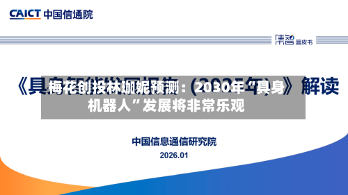 梅花创投林珈妮预测：2030年“具身机器人”发展将非常乐观-第2张图片