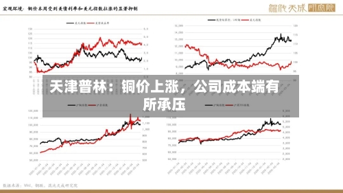 天津普林：铜价上涨，公司成本端有所承压-第2张图片