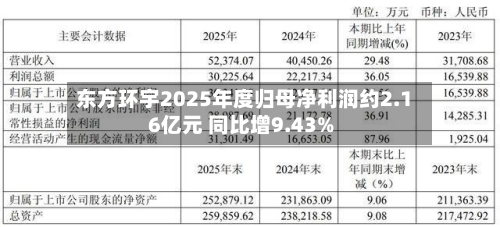 东方环宇2025年度归母净利润约2.16亿元 同比增9.43%