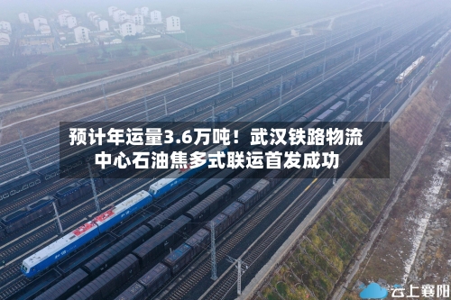 预计年运量3.6万吨！武汉铁路物流中心石油焦多式联运首发成功