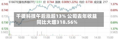 千循科技午后涨超13% 公司去年收益同比大增318.56%-第3张图片