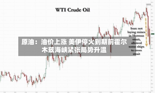 原油：油价上涨 美伊停火到期前霍尔木兹海峡紧张局势升温