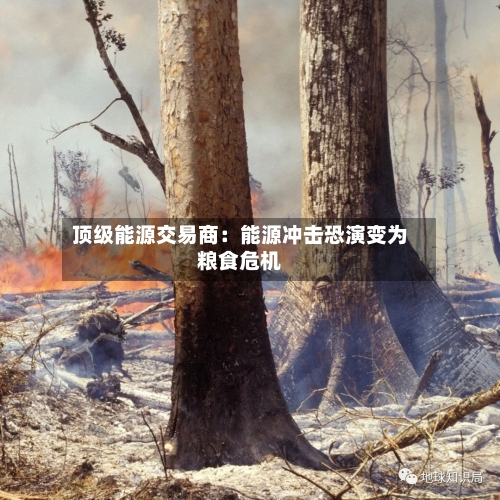 顶级能源交易商：能源冲击恐演变为粮食危机