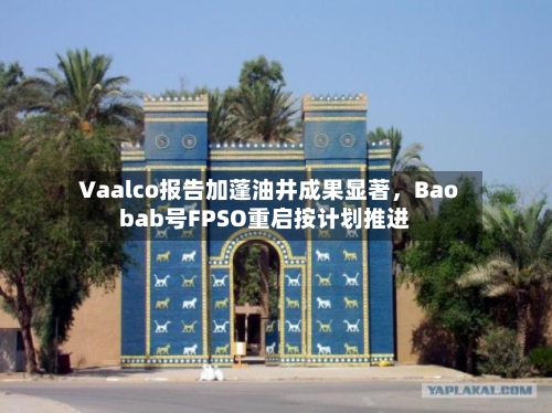 Vaalco报告加蓬油井成果显著，Baobab号FPSO重启按计划推进-第3张图片