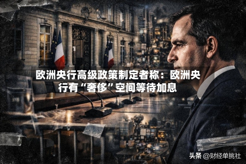 欧洲央行高级政策制定者称：欧洲央行有“奢侈”空间等待加息