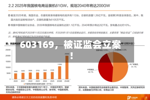 603169，被证监会立案！-第2张图片