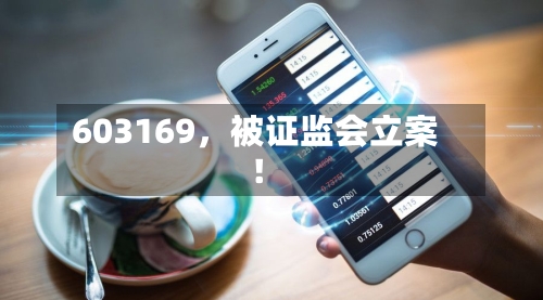 603169	，被证监会立案！-第3张图片