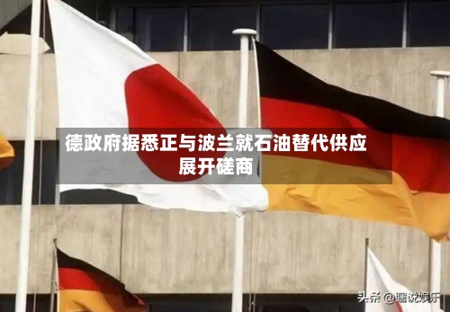 德政府据悉正与波兰就石油替代供应展开磋商-第2张图片