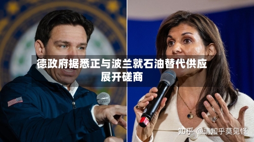 德政府据悉正与波兰就石油替代供应展开磋商