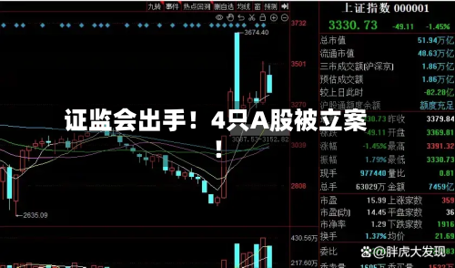证监会出手！4只A股被立案！-第2张图片