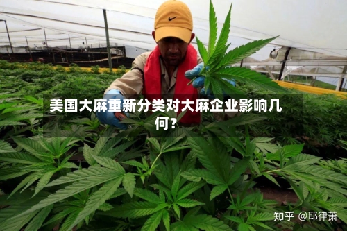 美国大麻重新分类对大麻企业影响几何？