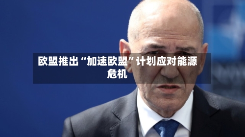 欧盟推出“加速欧盟	”计划应对能源危机-第3张图片