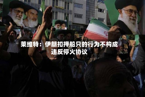 莱维特：伊朗扣押船只的行为不构成违反停火协议